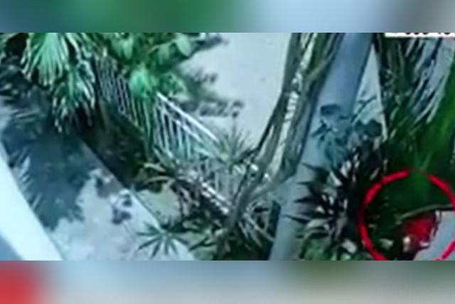 Extorsionador puso una bomba en la vivienda de un empresario pero detonó antes de tiempo y perdió su mano