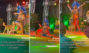 Perrito sin hogar se robo el show e interrumpe presentación de una bailarina